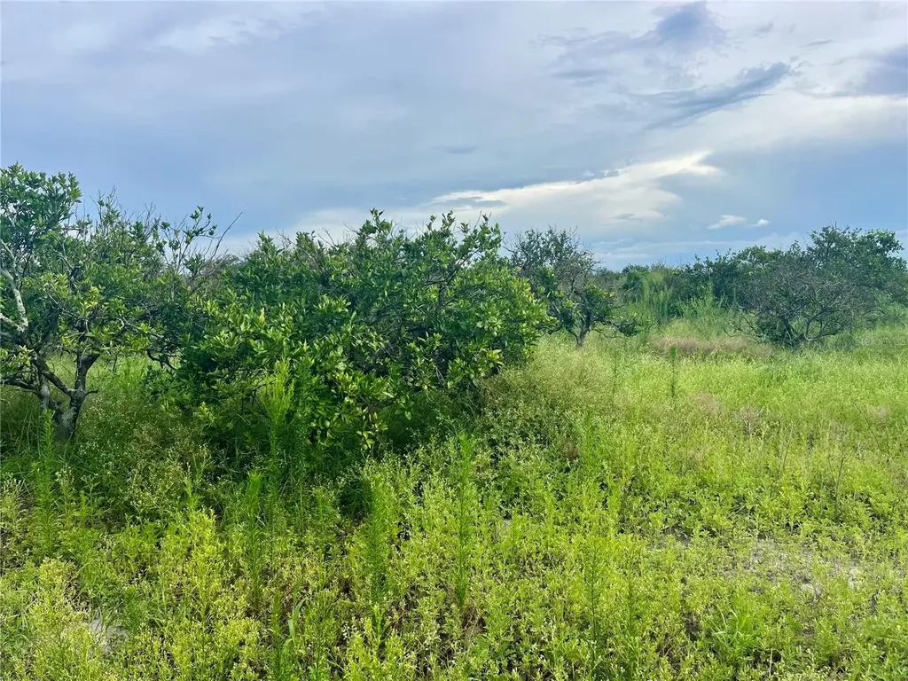 Hayman Road Wauchula FL 33873