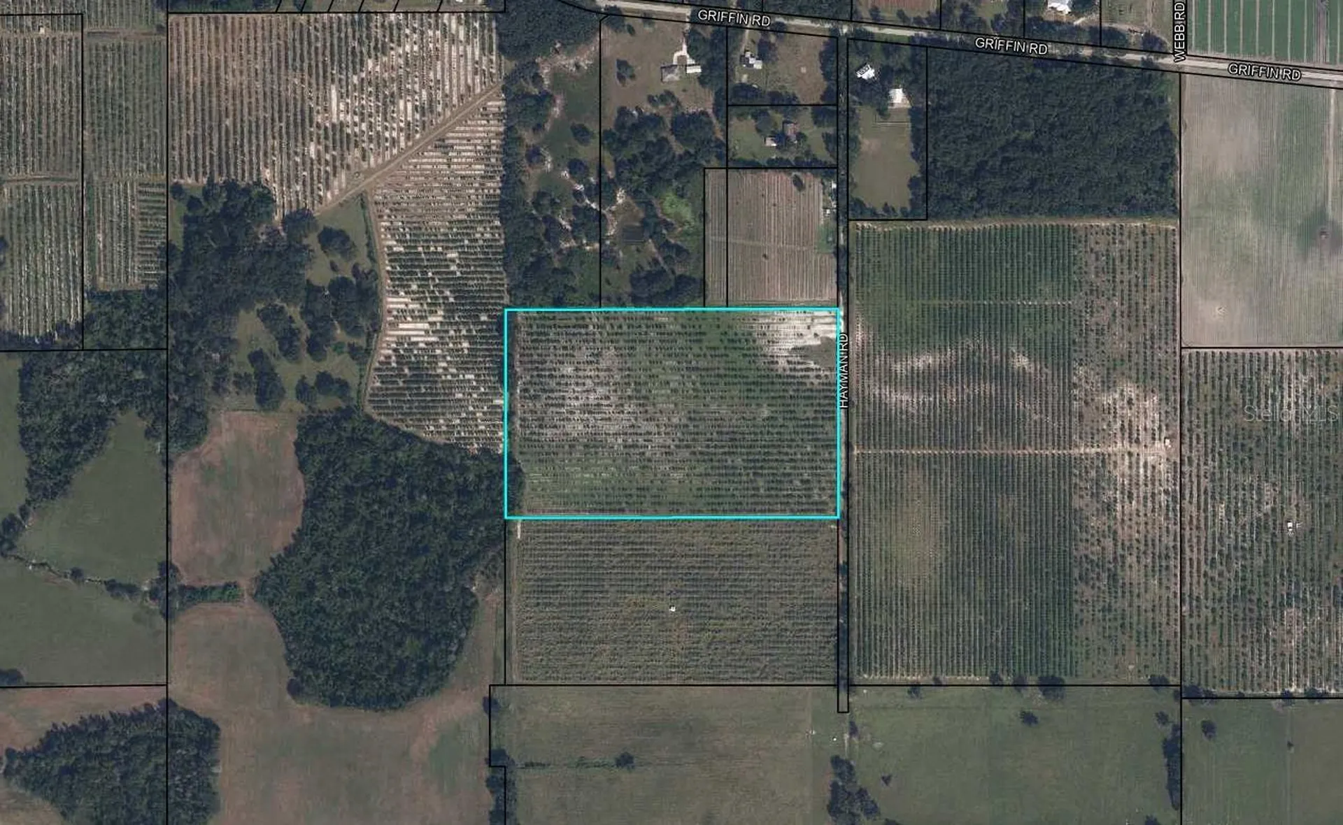 Hayman Road Wauchula FL 33873