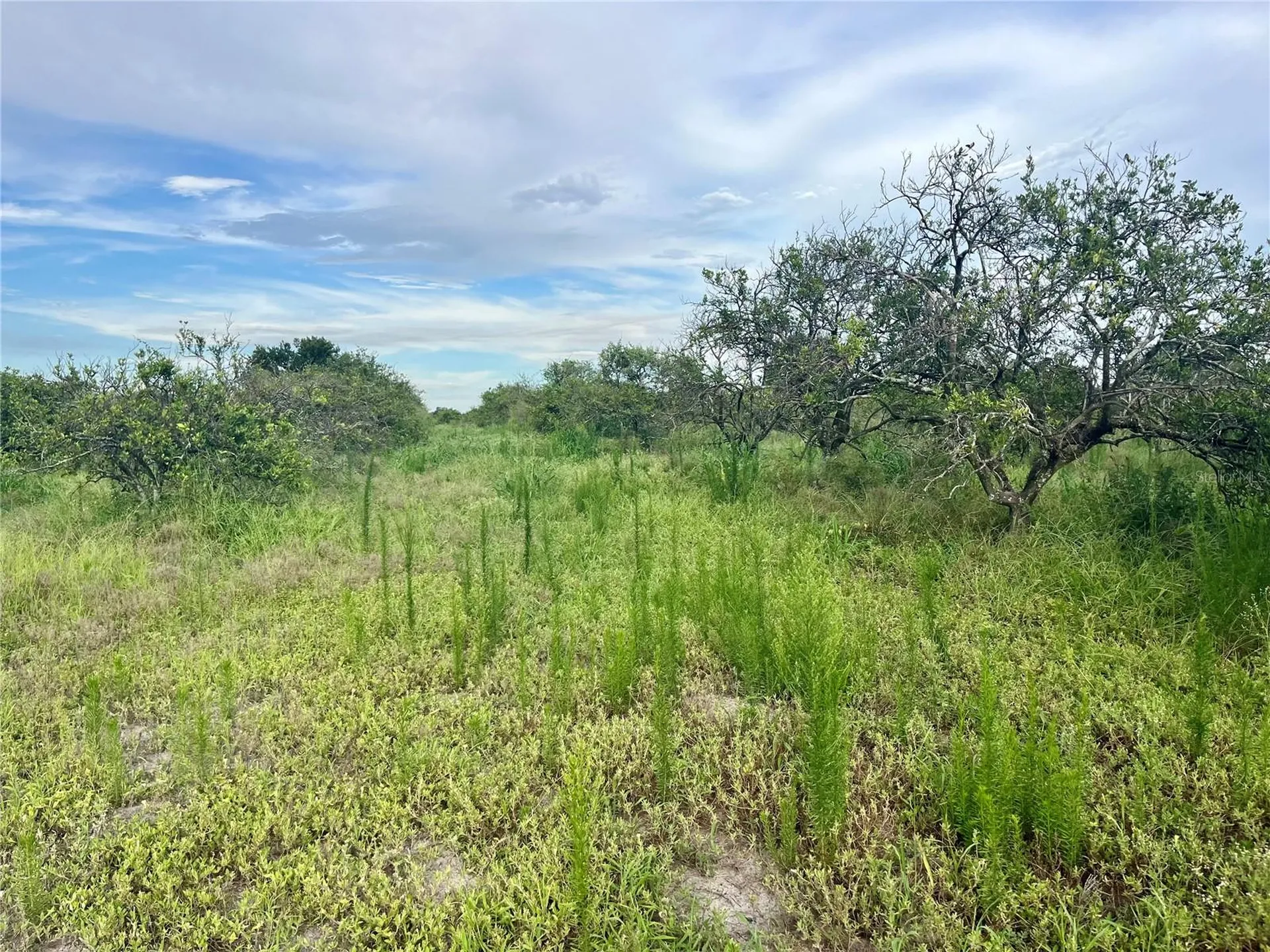 Hayman Road Wauchula FL 33873