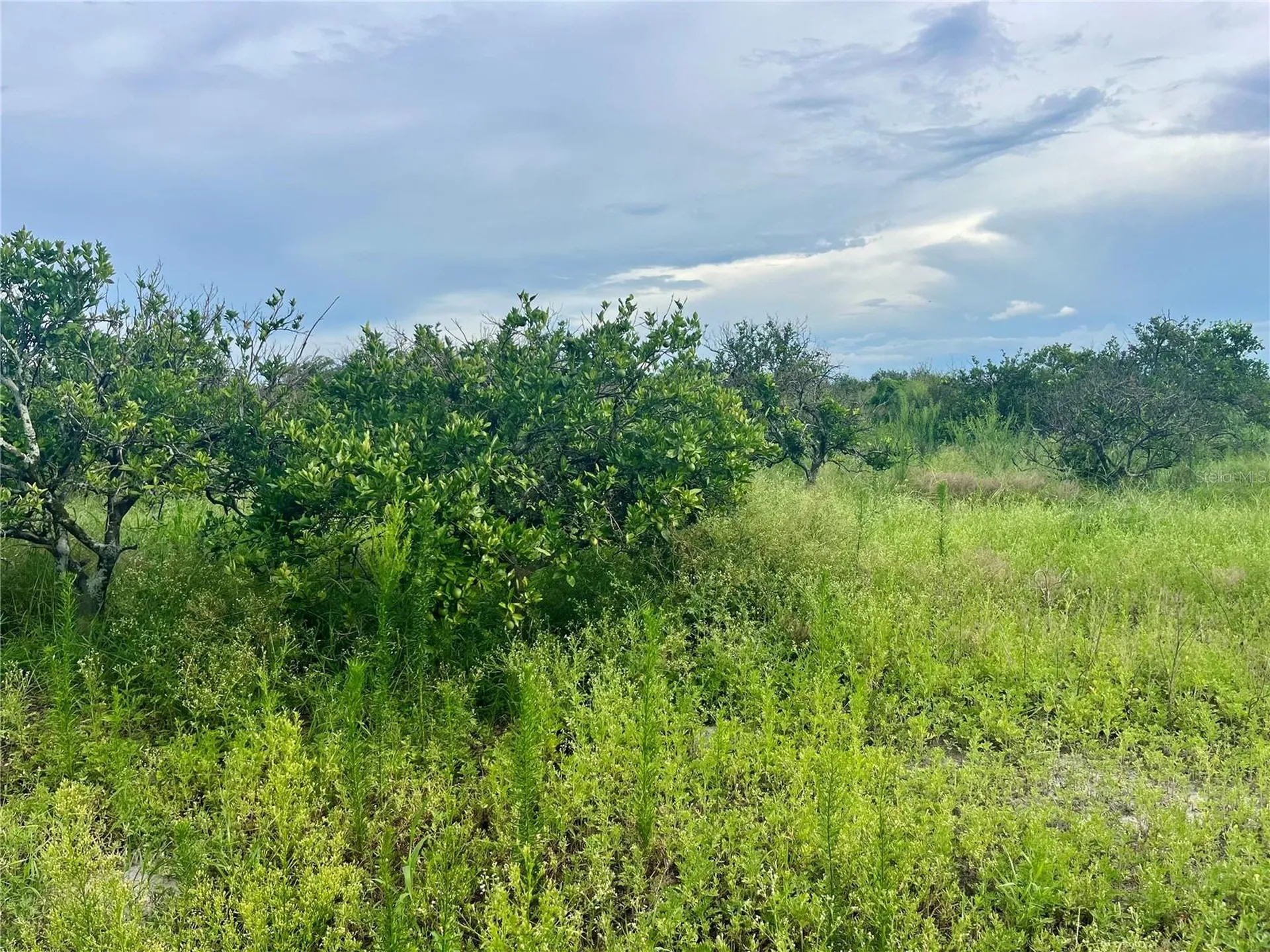 Hayman Road Wauchula FL 33873