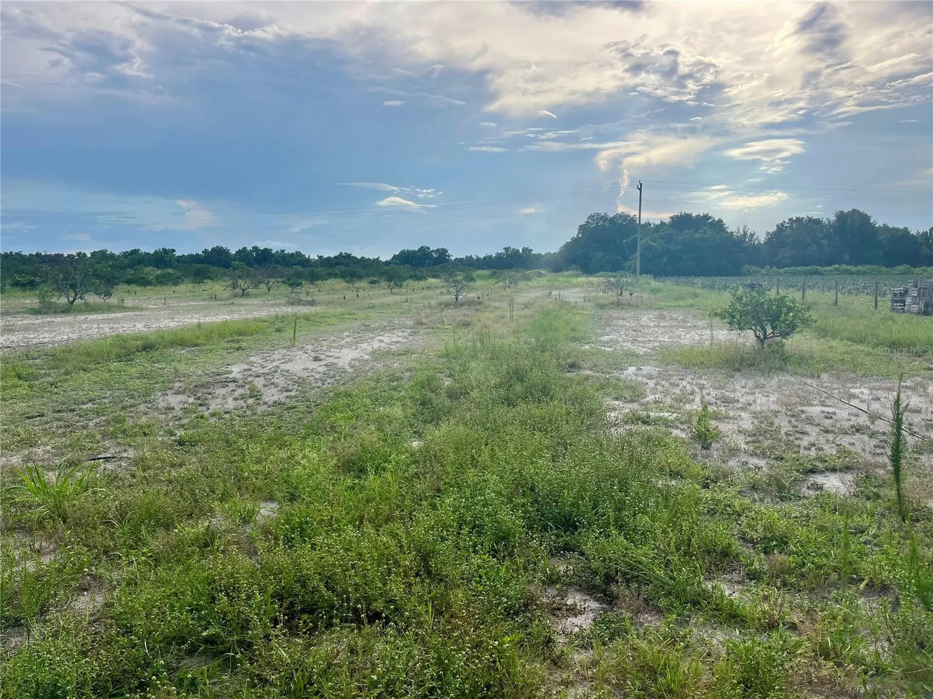 Hayman Road Wauchula FL 33873
