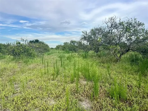 Hayman Road Wauchula FL 33873