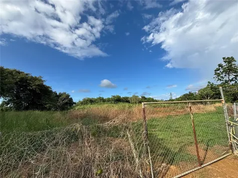 Barrio Ceiba Baja Aguadilla PR 00603