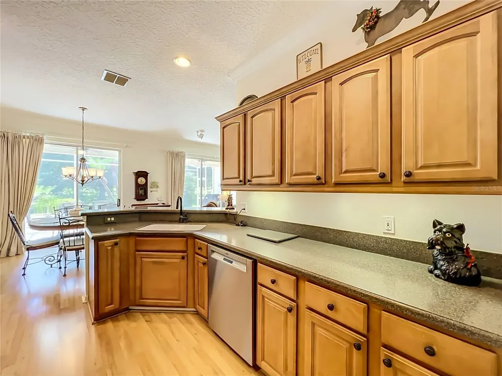 8031 Arcadian Court Mount Dora FL 32757