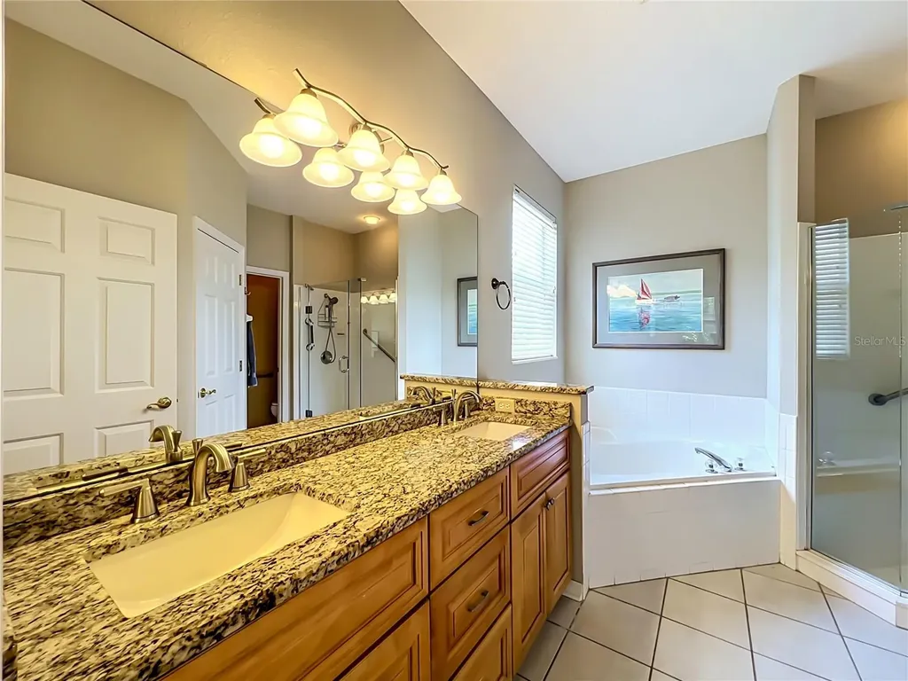 8031 Arcadian Court Mount Dora FL 32757