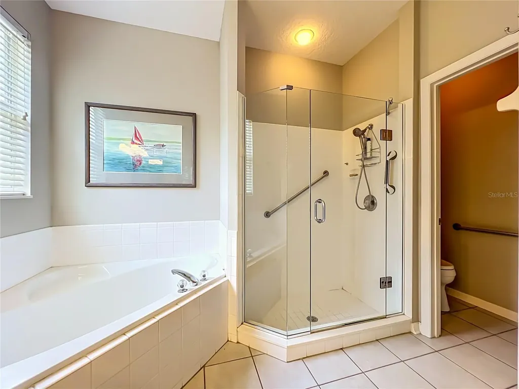 8031 Arcadian Court Mount Dora FL 32757