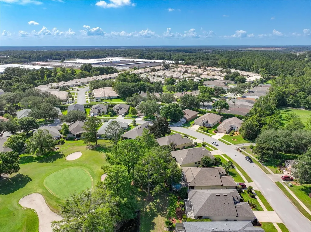 8031 Arcadian Court Mount Dora FL 32757