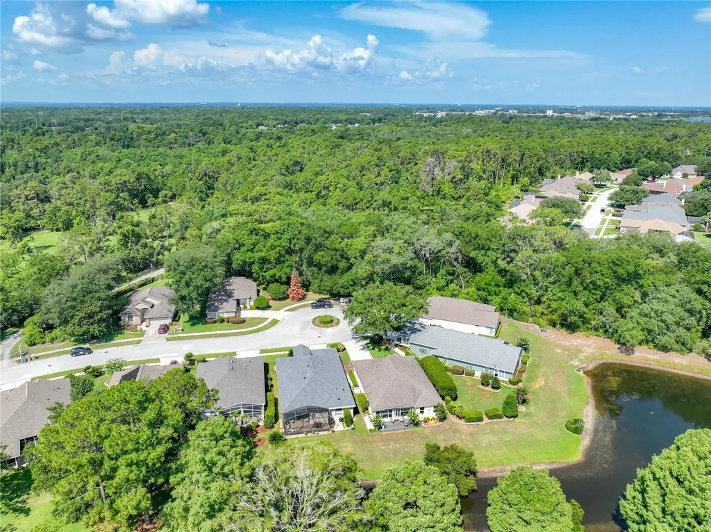 8031 Arcadian Court Mount Dora FL 32757