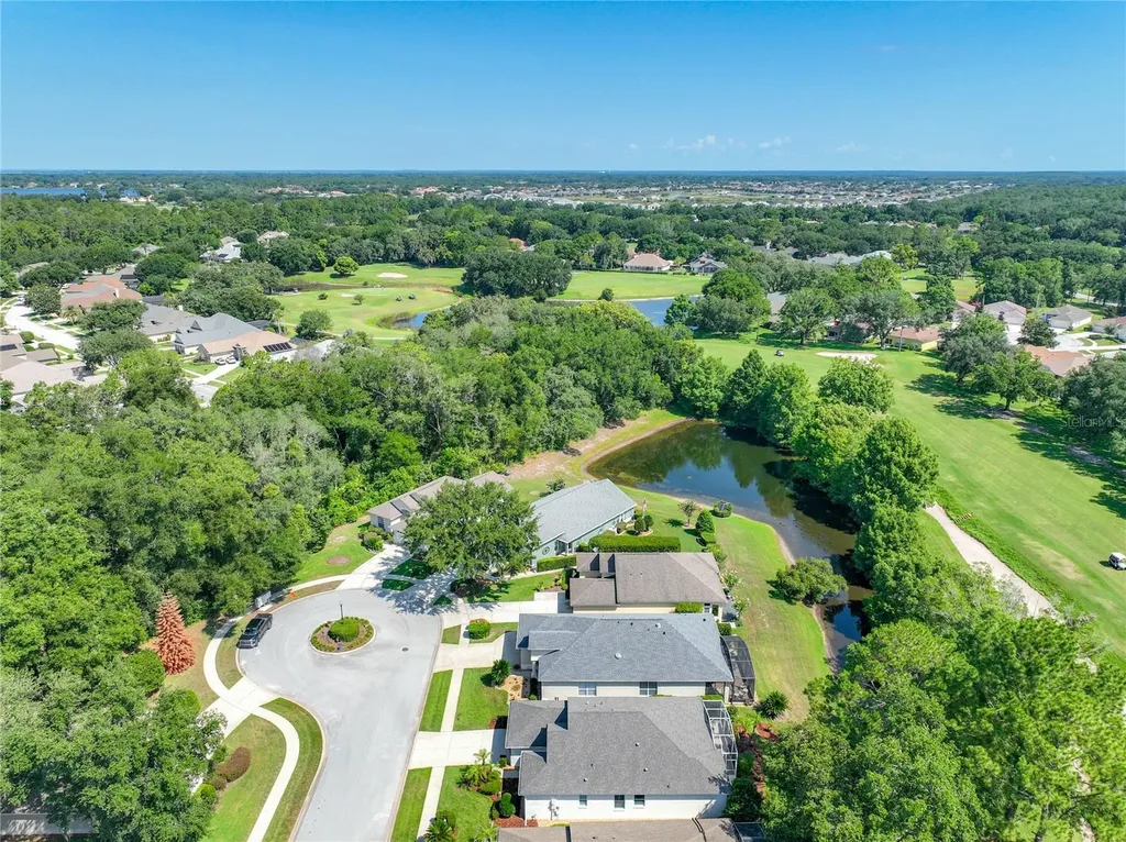 8031 Arcadian Court Mount Dora FL 32757