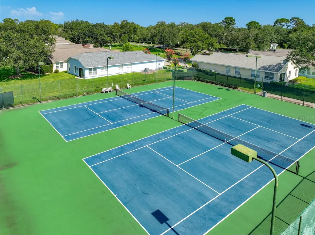 8031 Arcadian Court Mount Dora FL 32757