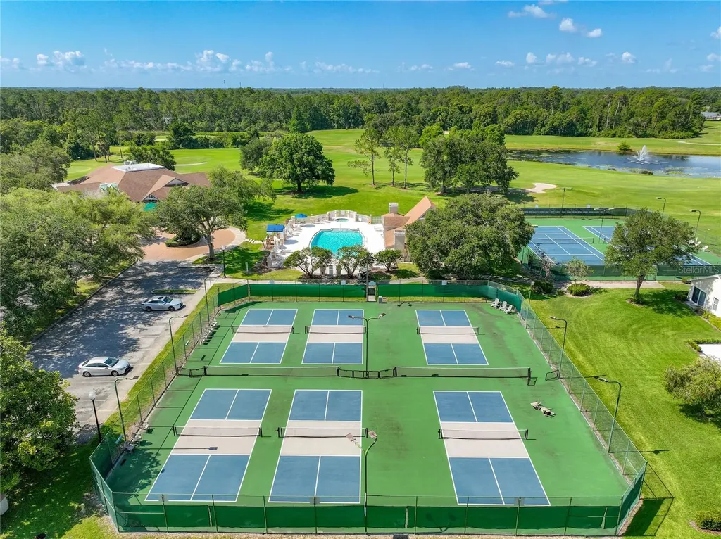 8031 Arcadian Court Mount Dora FL 32757