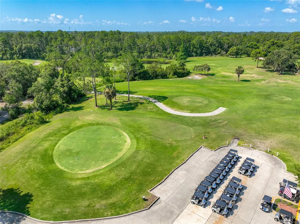 8031 Arcadian Court Mount Dora FL 32757