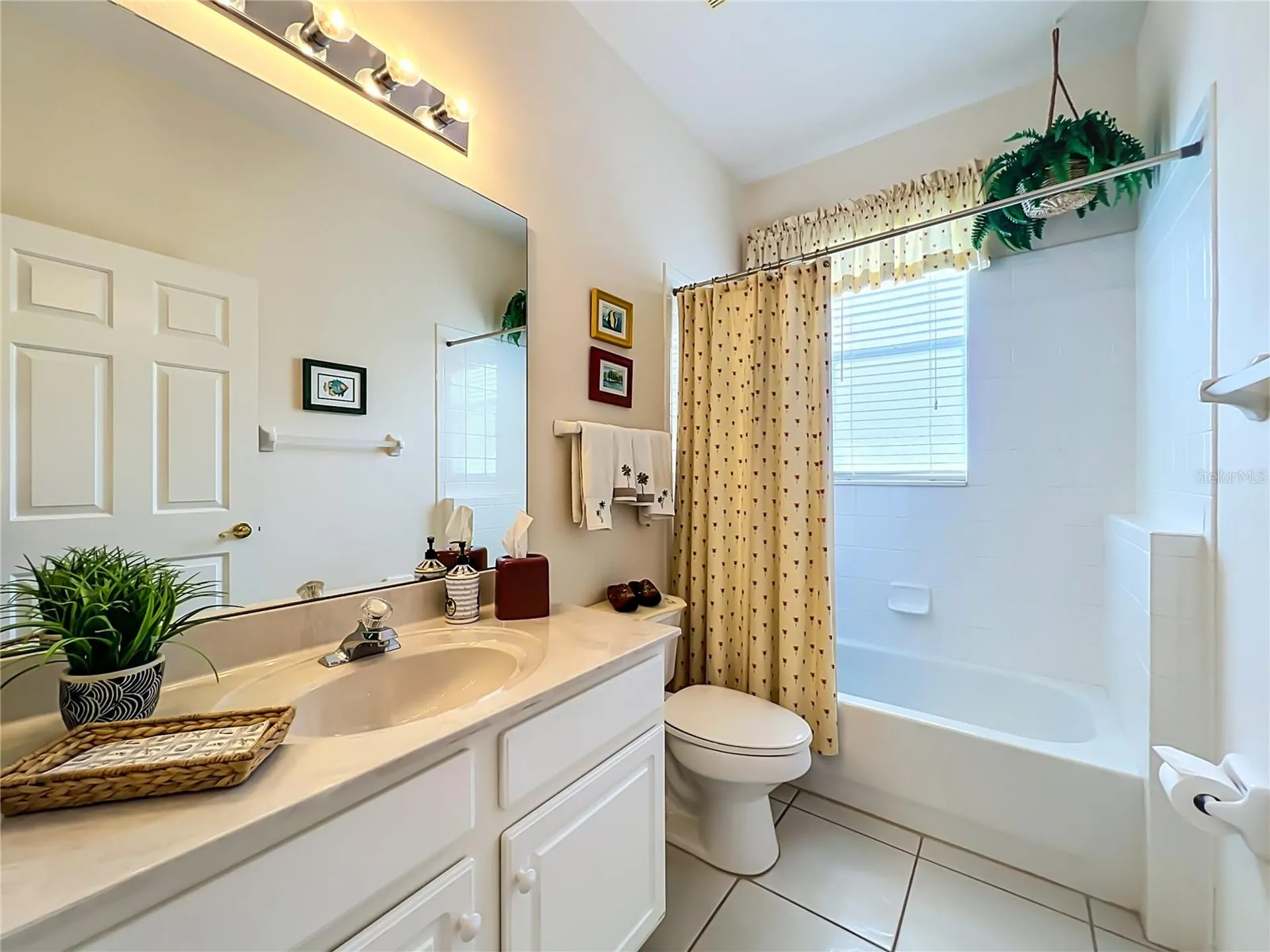 8031 Arcadian Court Mount Dora FL 32757