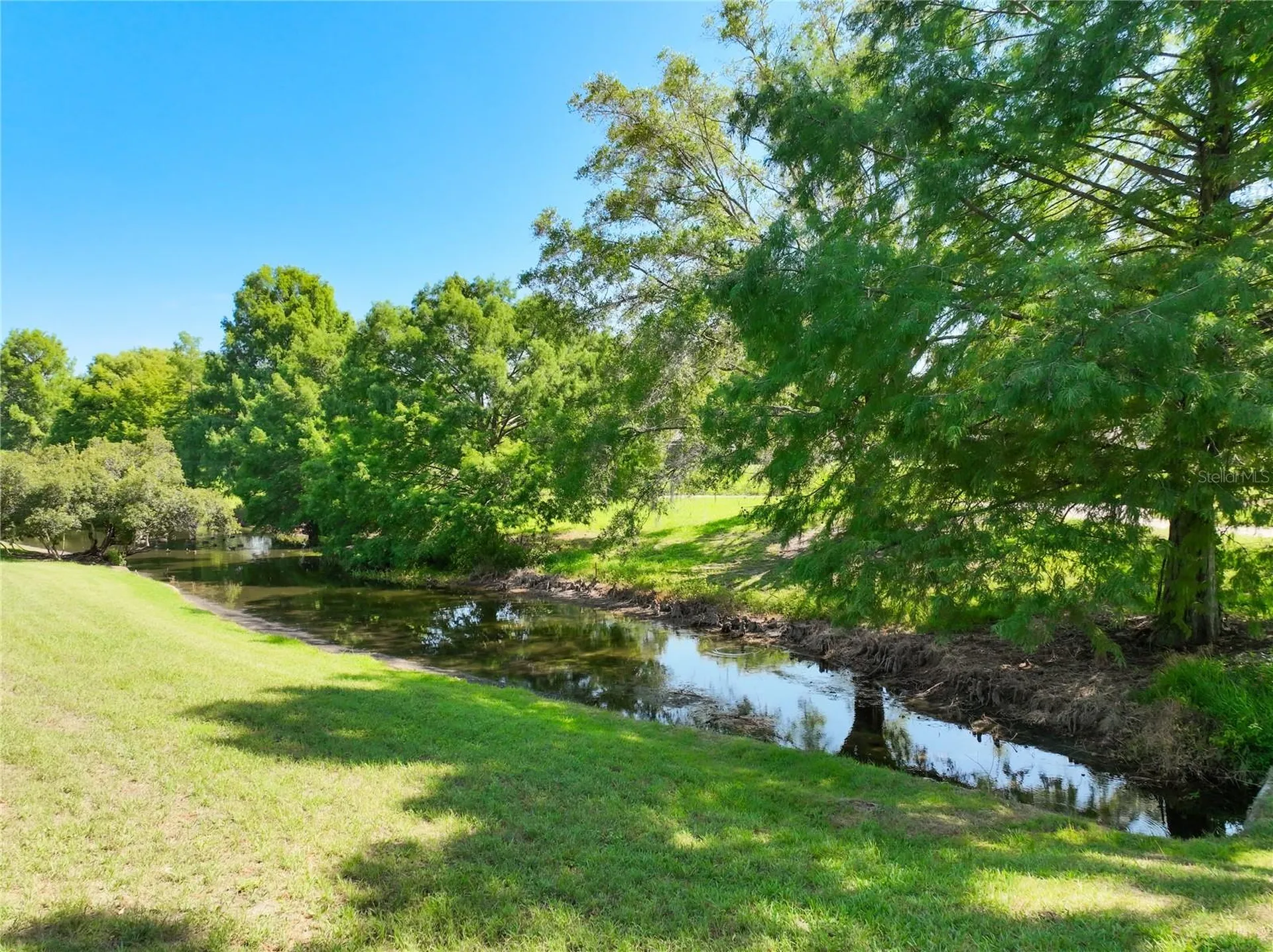 8031 Arcadian Court Mount Dora FL 32757