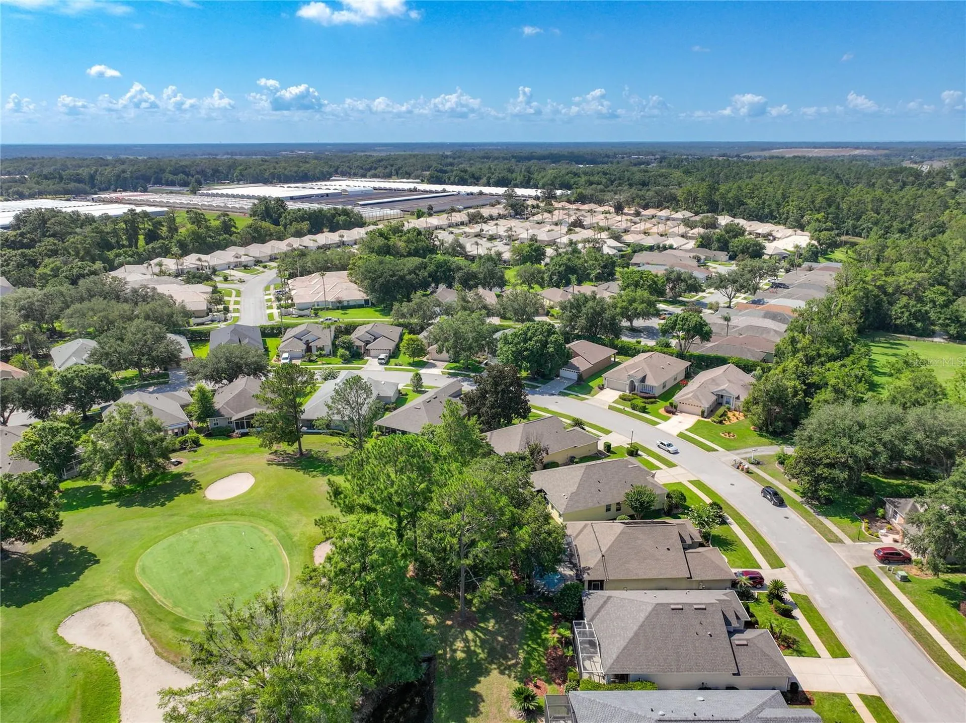 8031 Arcadian Court Mount Dora FL 32757