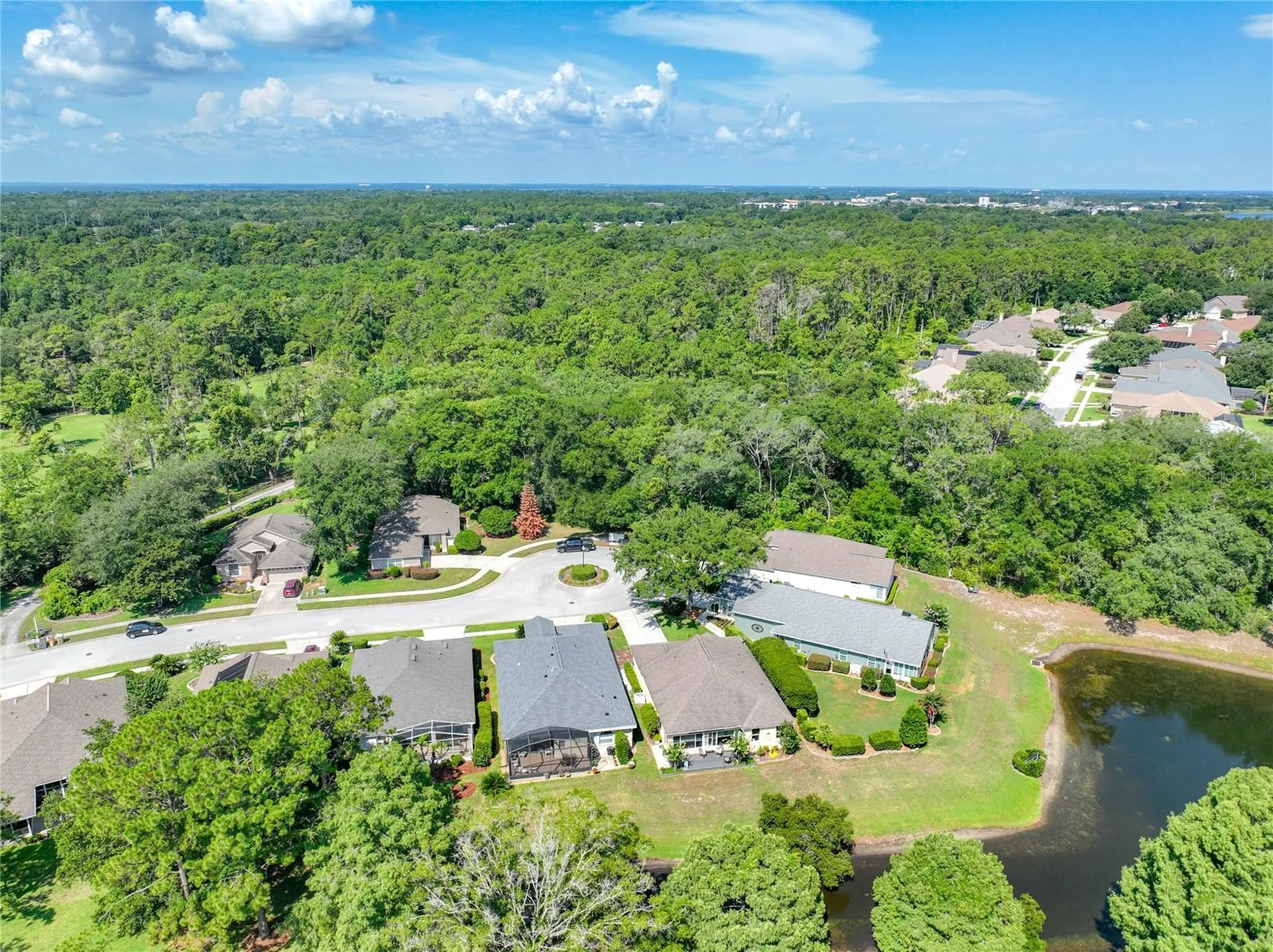 8031 Arcadian Court Mount Dora FL 32757