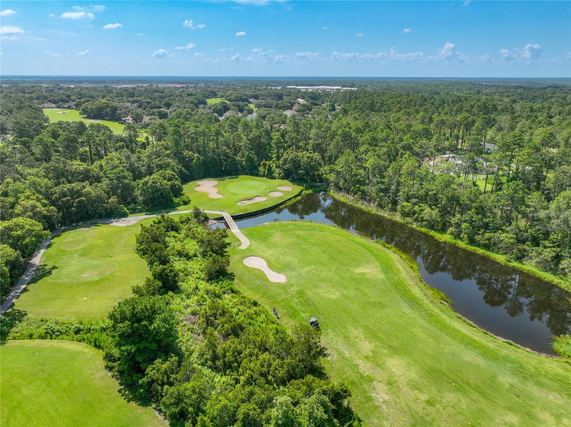 8031 Arcadian Court Mount Dora FL 32757