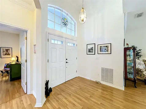 8031 Arcadian Court Mount Dora FL 32757