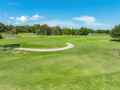 8031 Arcadian Court Mount Dora FL 32757