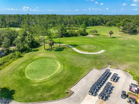8031 Arcadian Court Mount Dora FL 32757