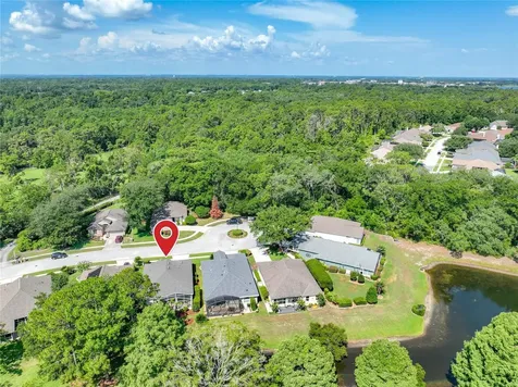 8031 Arcadian Court Mount Dora FL 32757