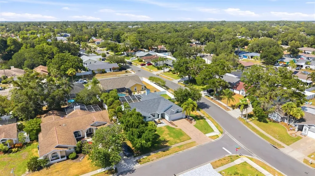 1763 Pebble Hill Court Palm Harbor FL 34683