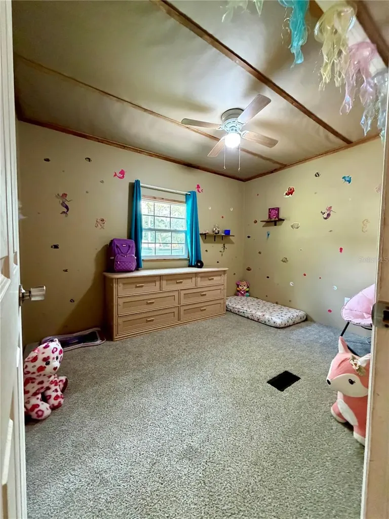 13030 NE 249 Court Fort Mc Coy FL 32134