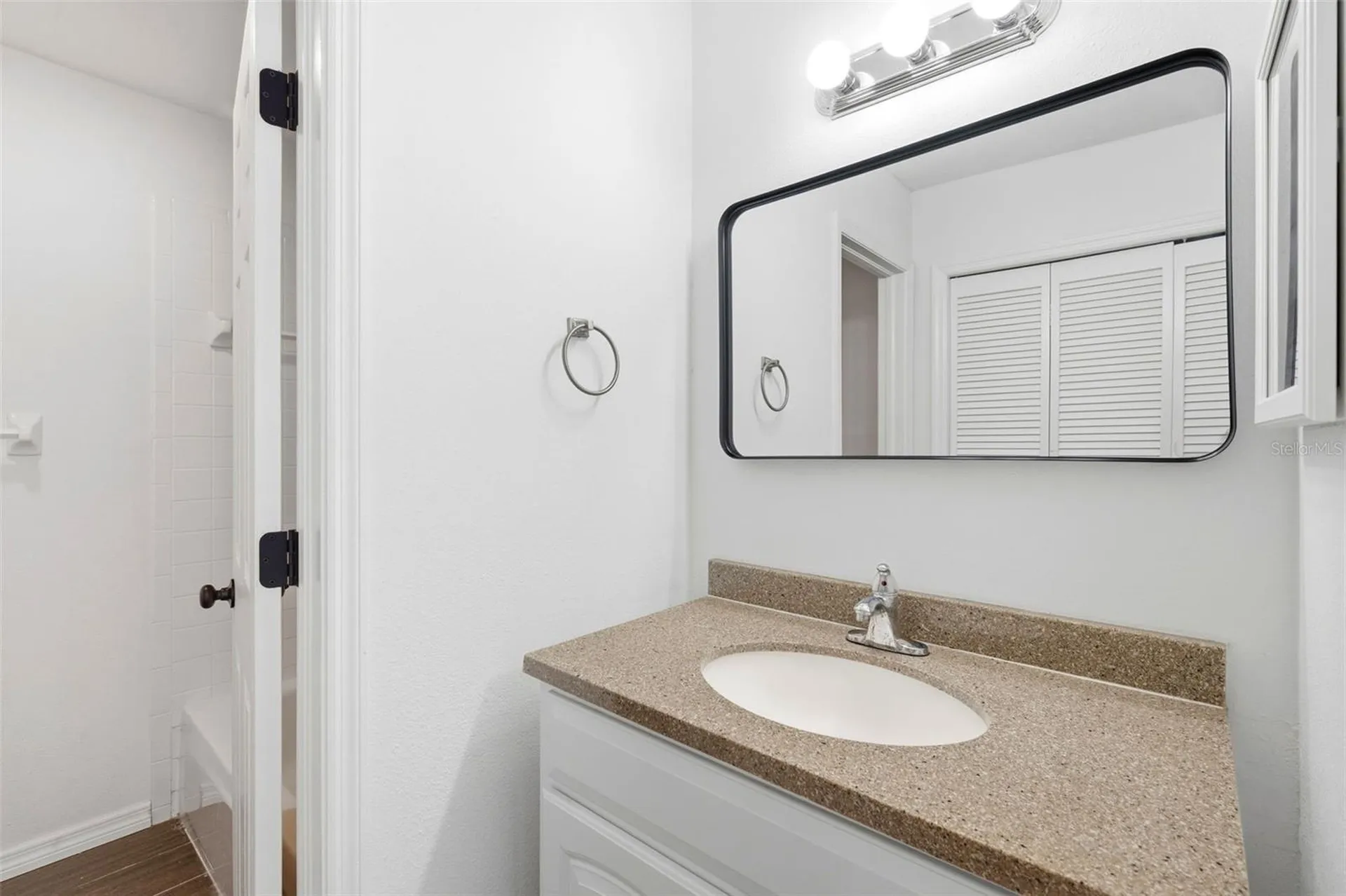 4253 Brentwood Park Circle Tampa FL 33624