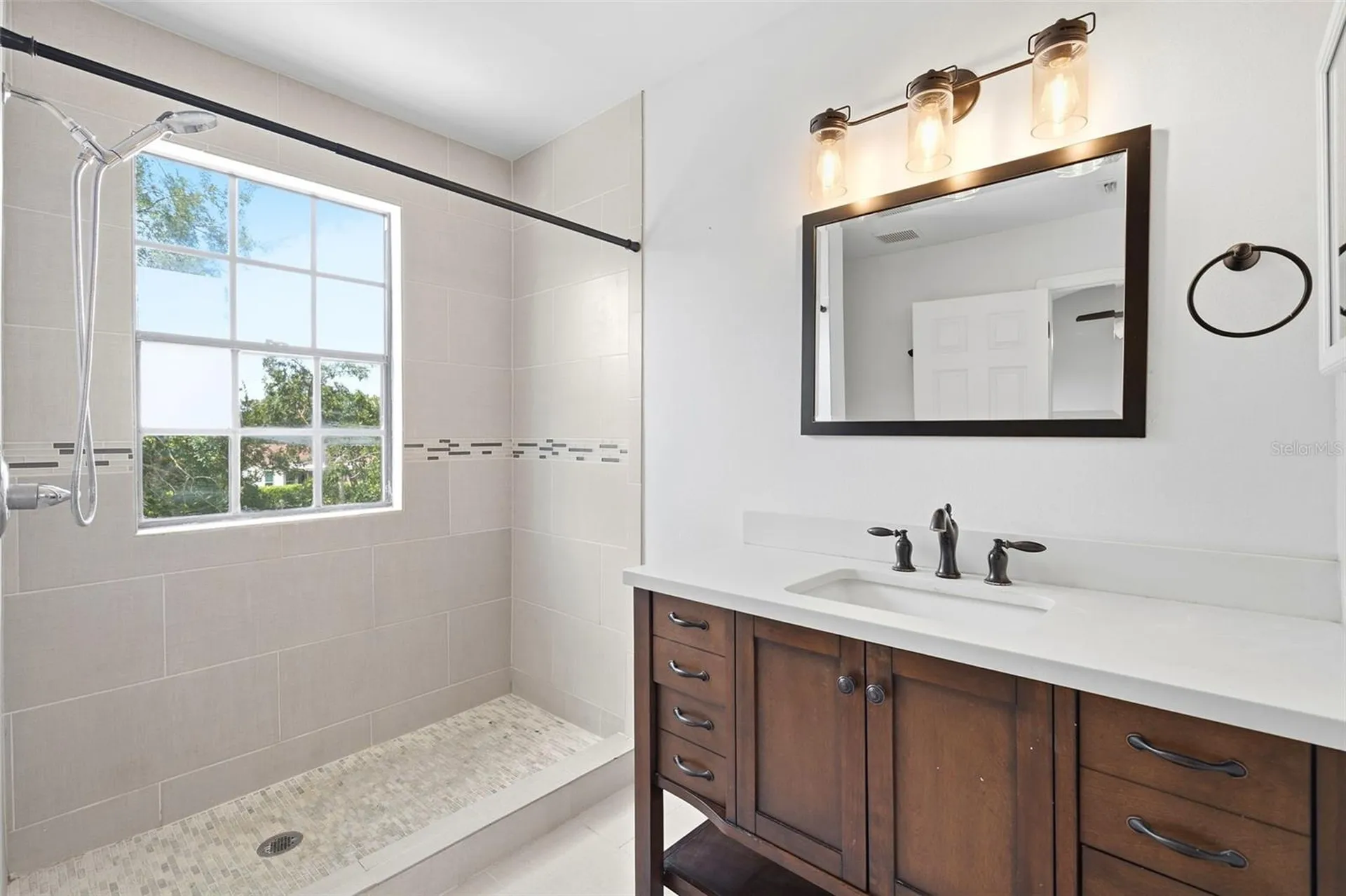 4253 Brentwood Park Circle Tampa FL 33624