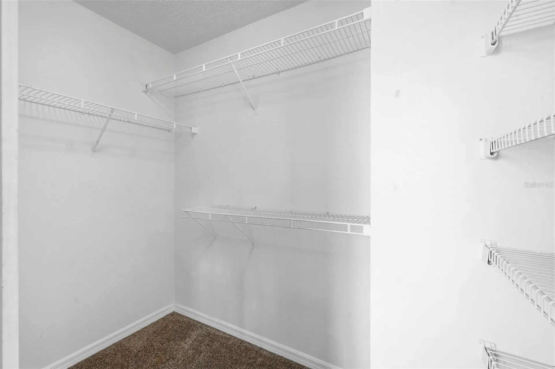 4253 Brentwood Park Circle Tampa FL 33624