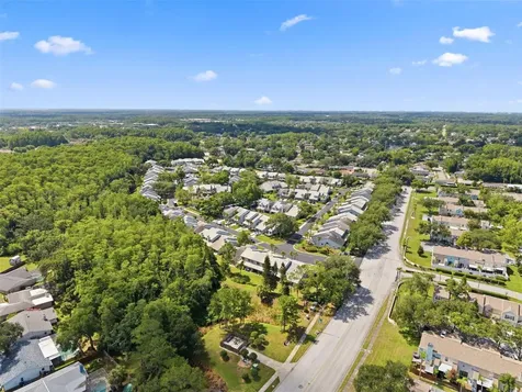 4253 Brentwood Park Circle Tampa FL 33624