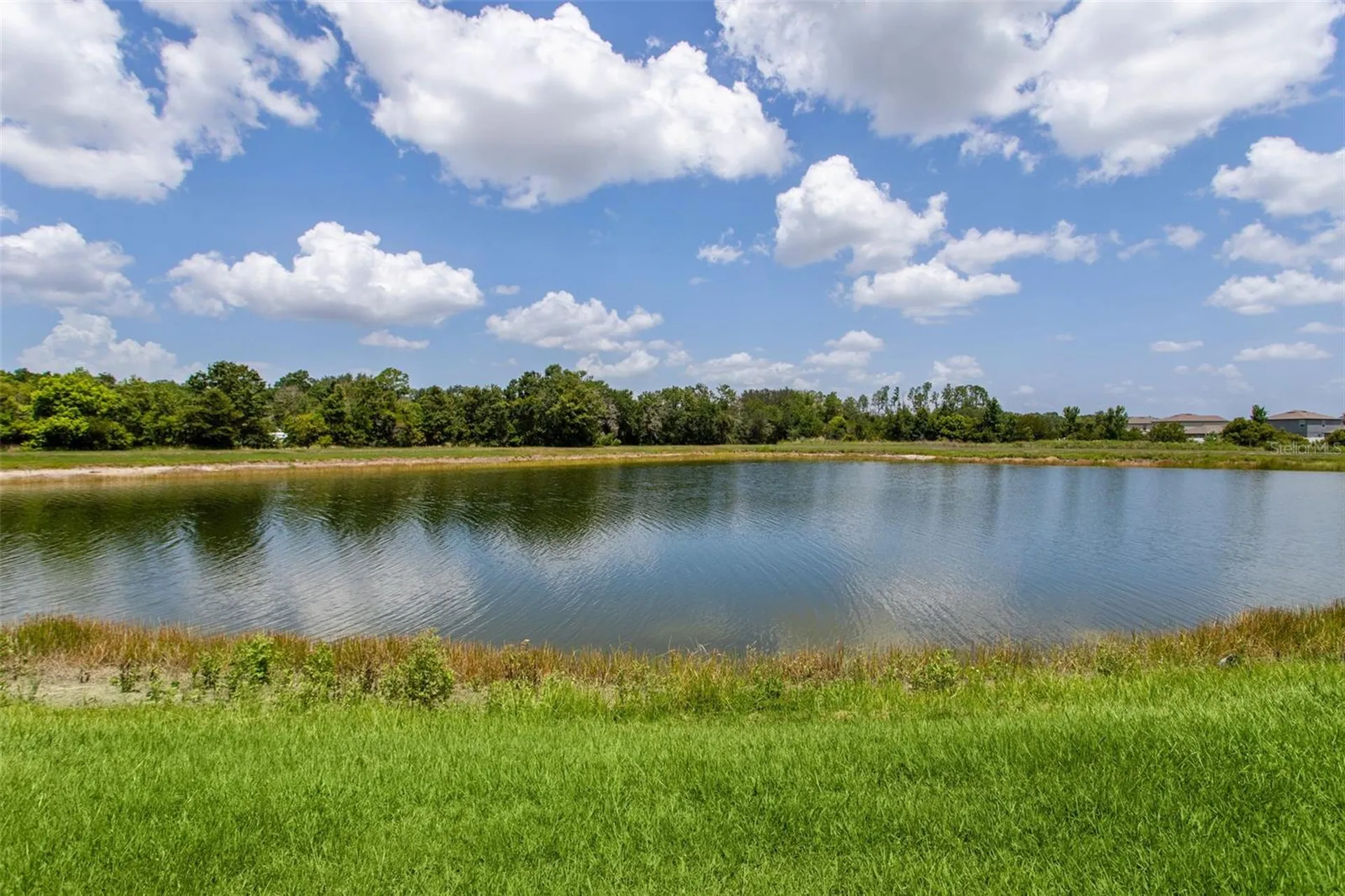 12694 Tannencrest Drive Riverview FL 33579