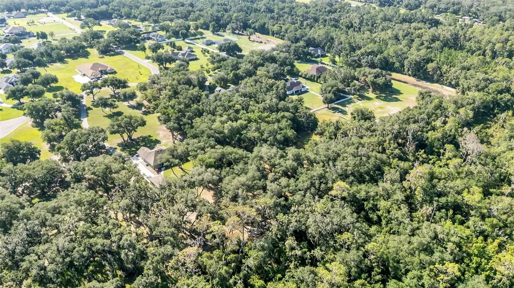 6923 Orianna Oaks Drive Plant City FL 33567
