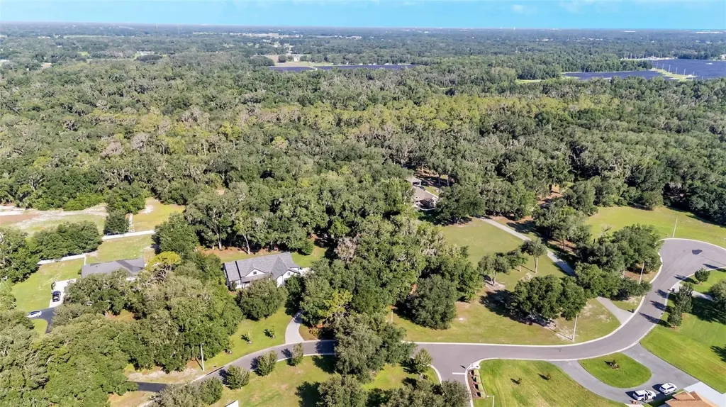 6923 Orianna Oaks Drive Plant City FL 33567