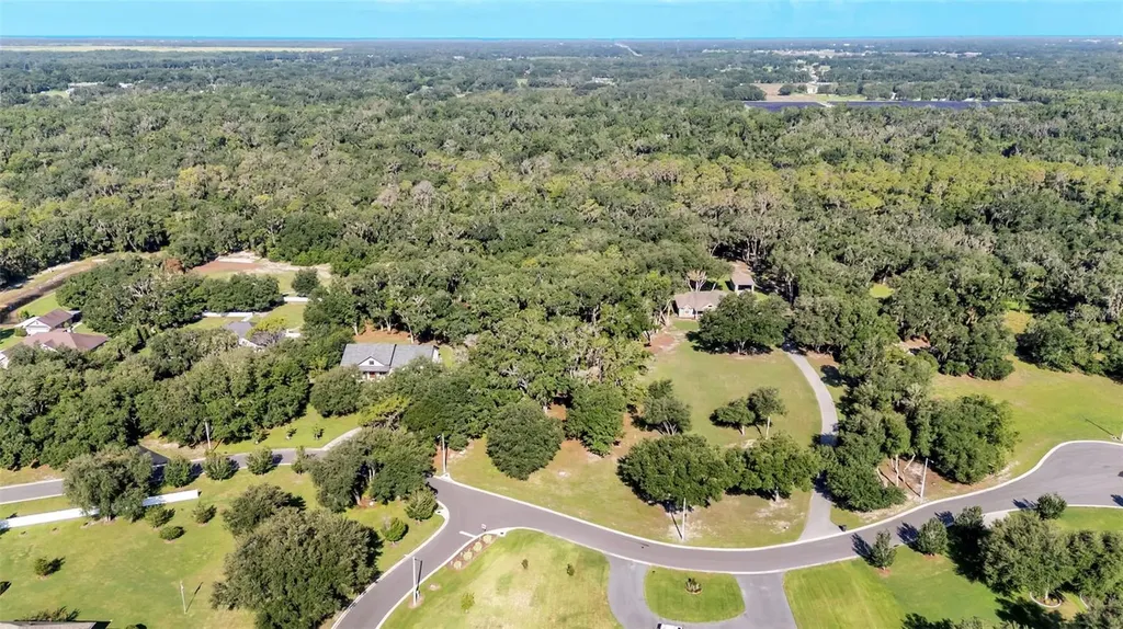 6923 Orianna Oaks Drive Plant City FL 33567