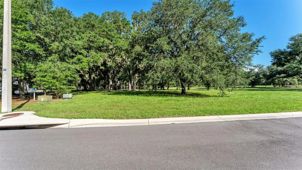 6923 Orianna Oaks Drive Plant City FL 33567