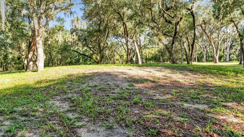 6923 Orianna Oaks Drive Plant City FL 33567