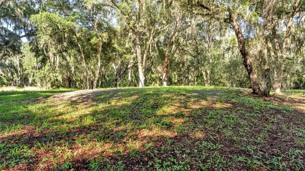 6923 Orianna Oaks Drive Plant City FL 33567