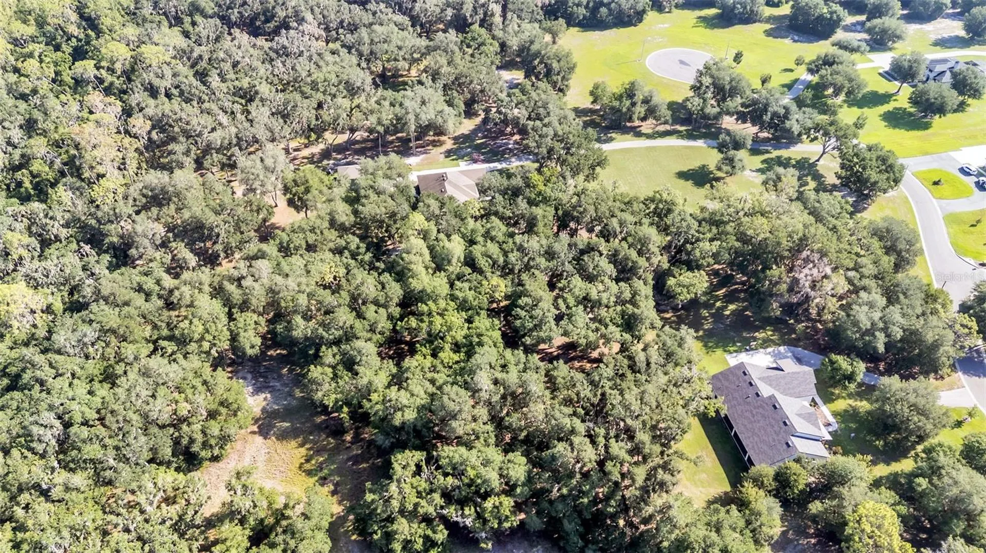 6923 Orianna Oaks Drive Plant City FL 33567