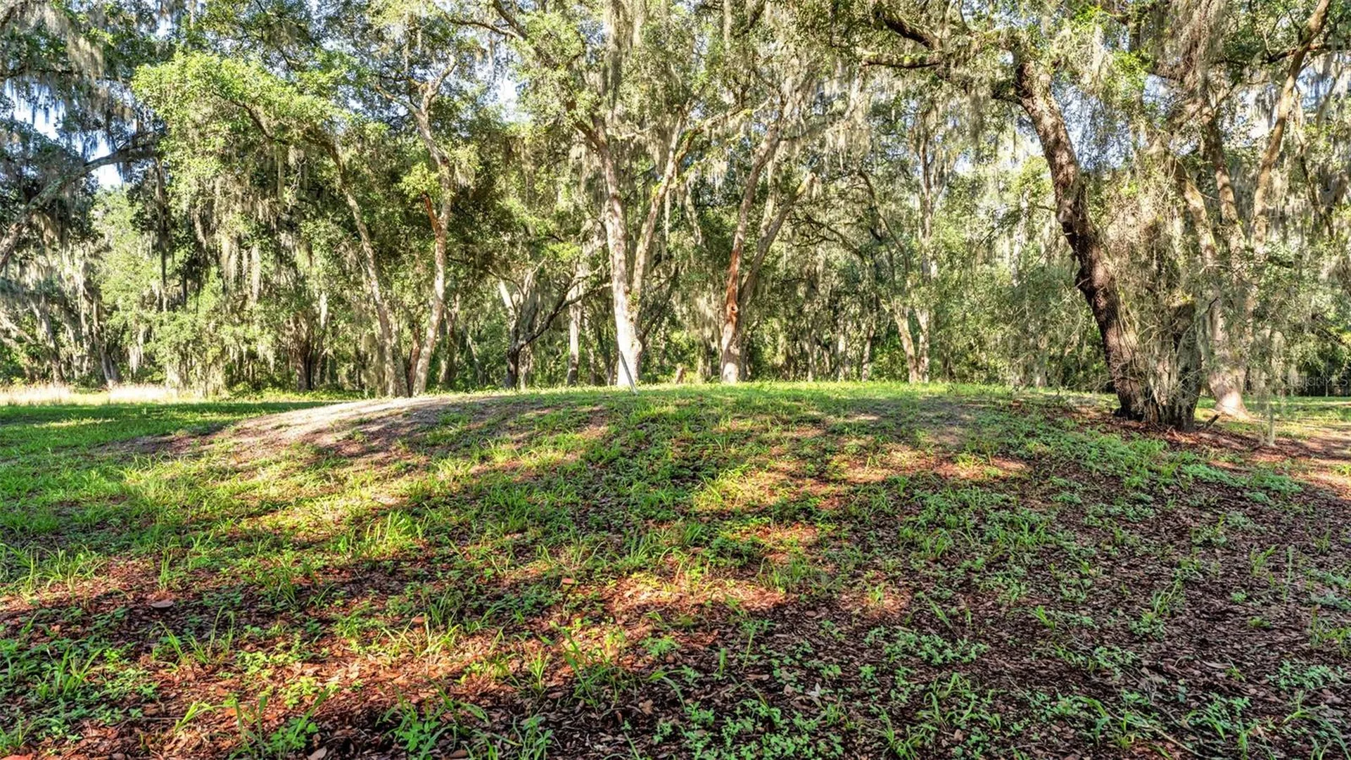 6923 Orianna Oaks Drive Plant City FL 33567
