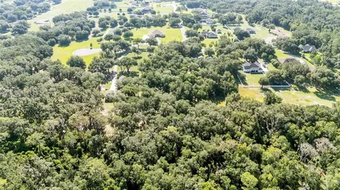6923 Orianna Oaks Drive Plant City FL 33567
