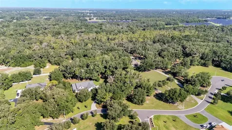 6923 Orianna Oaks Drive Plant City FL 33567