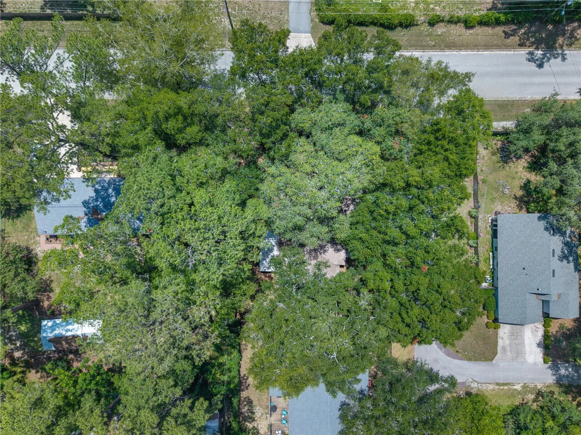 2077 SW 42nd Lane Gainesville FL 32608