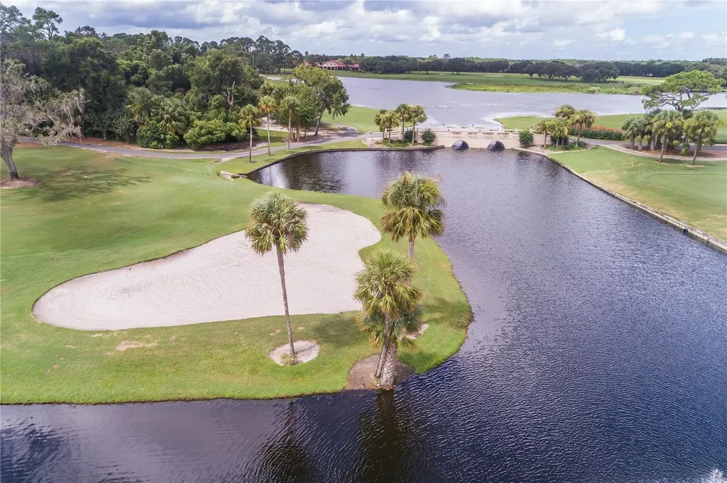 9513 Serra Court Howey In The Hills FL 34737
