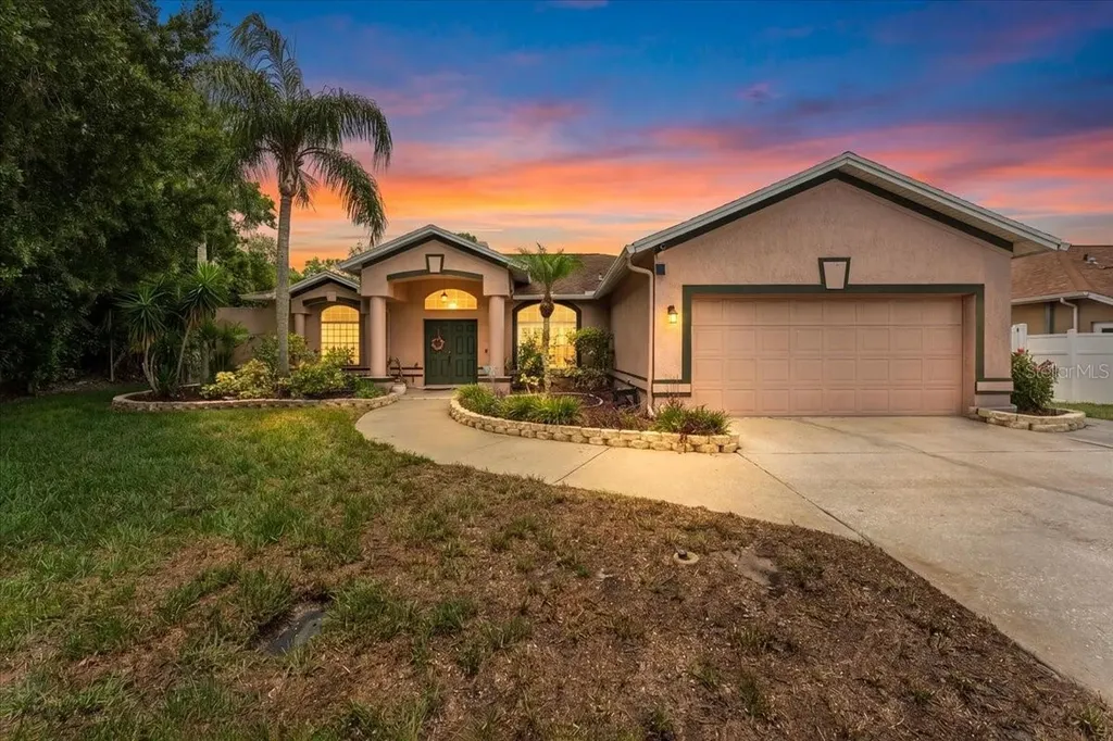 22804 Willow Lakes Drive Lutz FL 33549