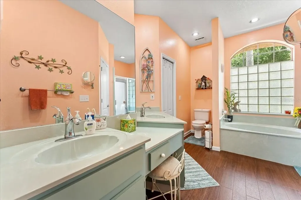 22804 Willow Lakes Drive Lutz FL 33549