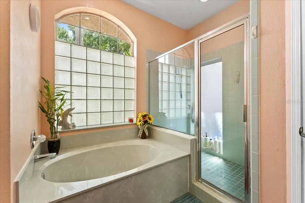 22804 Willow Lakes Drive Lutz FL 33549