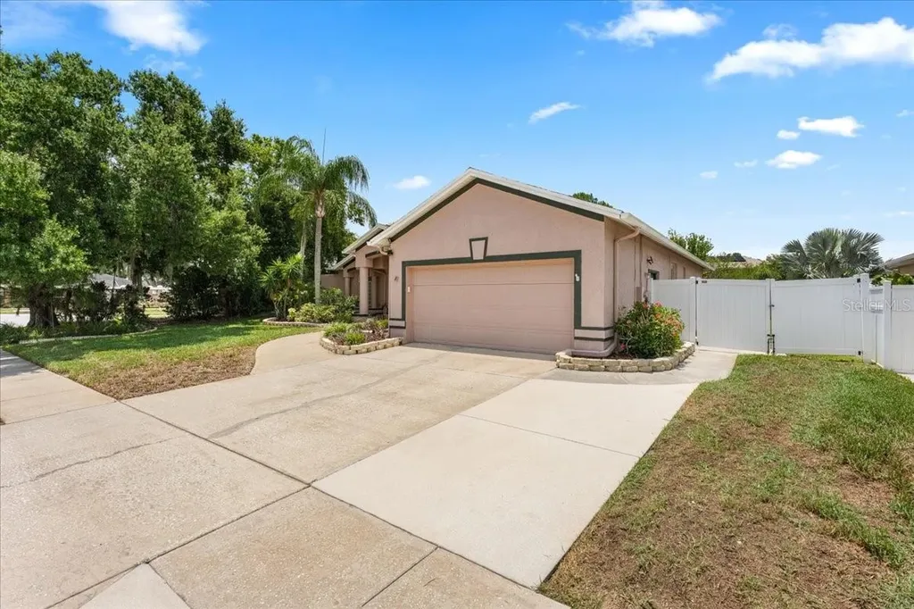 22804 Willow Lakes Drive Lutz FL 33549