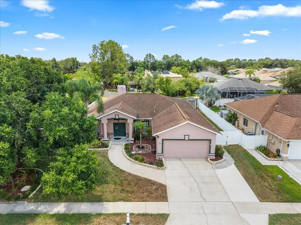 22804 Willow Lakes Drive Lutz FL 33549