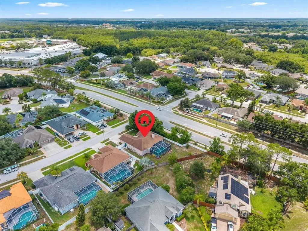 22804 Willow Lakes Drive Lutz FL 33549